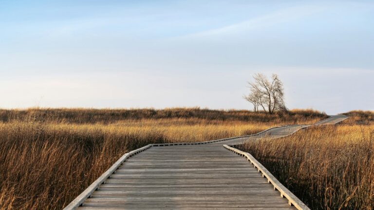 Walking the path of recovery after rehab in Houston