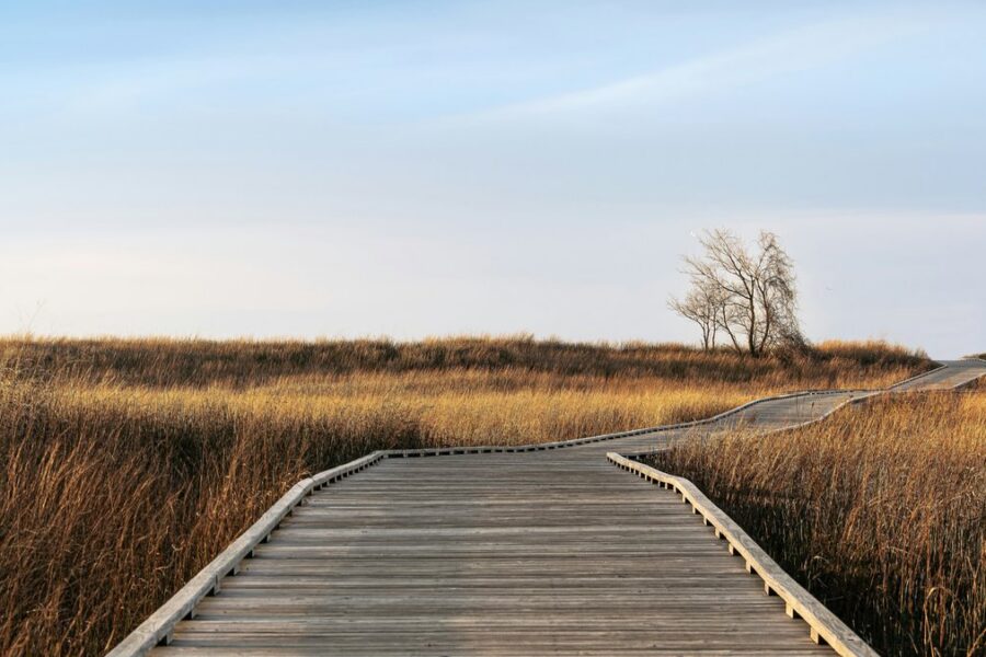 Walking the path of recovery after rehab in Houston